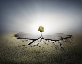 Life Concept. Existence survival being consciousness. Growth of new life, AI generated