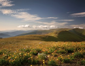 Traveling hiking concept background, AI generated
