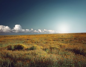 Traveling hiking concept background, AI generated