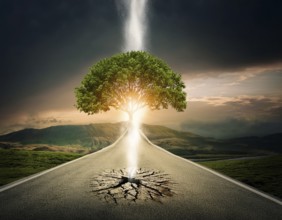Life Concept. Existence survival being consciousness. Growth of new life, AI generated
