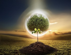 Life Concept. Existence survival being consciousness. Growth of new life, AI generated