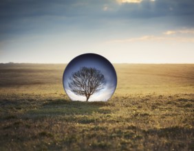Life Concept. Existence survival being consciousness. Growth of new life, AI generated
