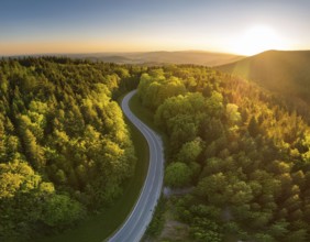 A scenic aerial view of a serpentine road surrounded by lush green forest, illuminated by soft