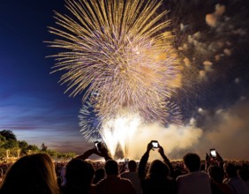 Thrilling fireworks illuminate the dark sky as a crowd gathers to enjoy the dazzling display,