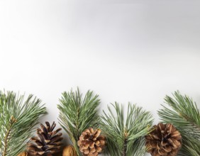 Holiday-themed flat lay with evergreen pine branches and pine cones, evoking a minimalist and