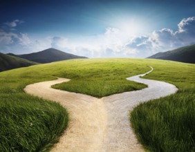 Directional Signpost at Forked Path Illustrating Decision and Choices in Nature, AI generated