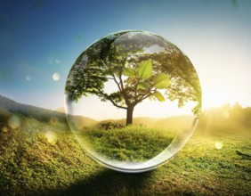 Ecology and Environment concept. Environment Earth Day In the hands of trees growing seedlings,