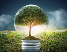 Ecology and Environment concept. Environment Earth Day In the hands of trees growing seedlings,