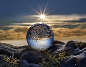 Art of Allah's, God's act of creation:, call forth, command into being, speak into existence,