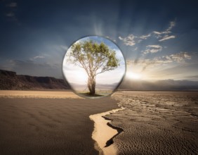 Life Concept. Existence survival being consciousness. Growth of new life, AI generated
