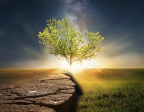 Life Concept. Existence survival being consciousness. Growth of new life, AI generated