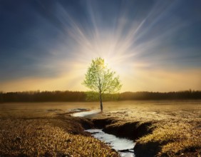 Life Concept. Existence survival being consciousness. Growth of new life, AI generated