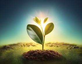 Life Concept. Existence survival being consciousness. Growth of new life, AI generated
