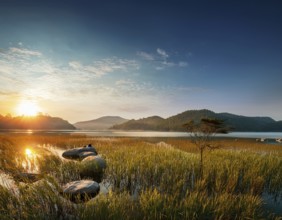 Tranquil meditation landscape with harmoniously fostering inner peace and serenity, AI generated