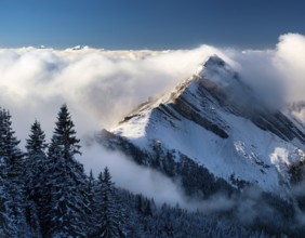 A stunning view of a snowy mountain peak rising above the clouds, with a blue sky background.