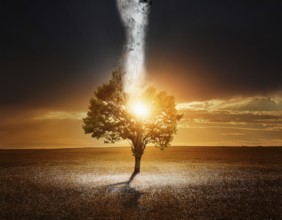 Life Concept. Existence survival being consciousness. Growth of new life, AI generated