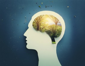 A concept image depicting a human head silhouette filled with scenic nature, symbolizing mental