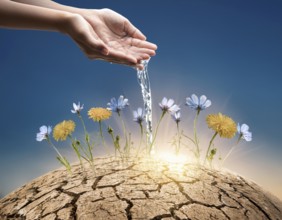 Symbolizing hope and resilience, a flower thrives in a dry desert landscape, nourished by water