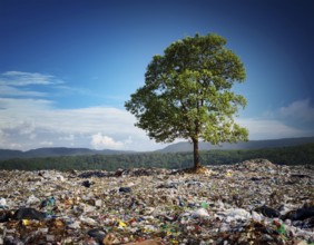 A solitary green tree amidst a landscape filled with trash and waste, symbolizing environmental