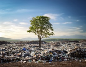 A solitary green tree amidst a landscape filled with trash and waste, symbolizing environmental