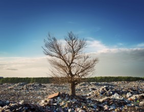 A solitary green tree amidst a landscape filled with trash and waste, symbolizing environmental