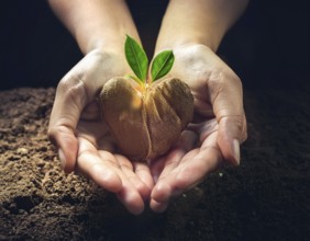 Hands gently cradle soil with a heart-shaped tree, symbolizing environmental care, growth, and