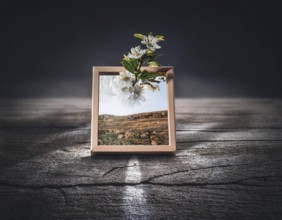Life Concept. Existence survival being consciousness. Growth of new life, AI generated
