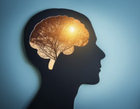 A creative representation of a human head silhouette incorporating an illuminated brain. The image