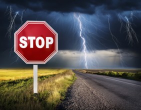 A scenic rural road features a bold red stop sign contrasted against overcast skies and farmlands,