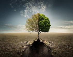 Life Concept. Existence survival being consciousness. Growth of new life, AI generated