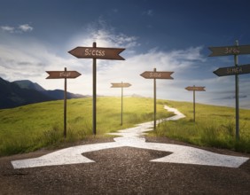 Directional Signpost at Forked Path Illustrating Decision and Choices in Nature, AI generated