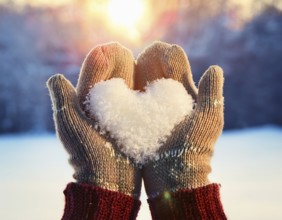 Serene winter scene showcasing hands in gloves holding a snow heart symbolizing love and warmth, AI