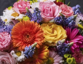 A vibrant and diverse arrangement of flowers, . Perfect for celebrating special occasions or