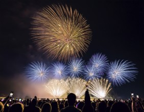 Thrilling fireworks illuminate the dark sky as a crowd gathers to enjoy the dazzling display,