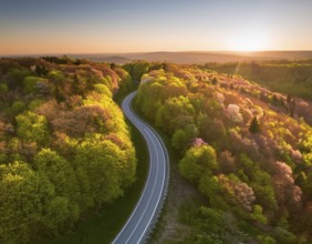 A scenic aerial view of a serpentine road surrounded by lush green forest, illuminated by soft