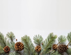 Holiday-themed flat lay with evergreen pine branches and pine cones, evoking a minimalist and