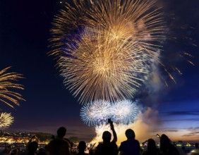 Thrilling fireworks illuminate the dark sky as a crowd gathers to enjoy the dazzling display,