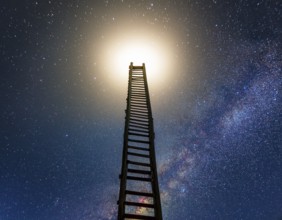A ladder extends toward the glowing full moon against a starry night sky, evoking dreams and