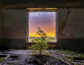 An abandoned building reveals a stunning view of a colorful sunset through a decayed window,