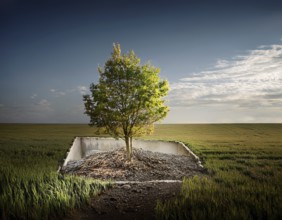 Life Concept. Existence survival being consciousness. Growth of new life, AI generated