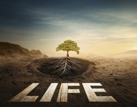 Life Concept. Existence survival being consciousness. Growth of new life, AI generated