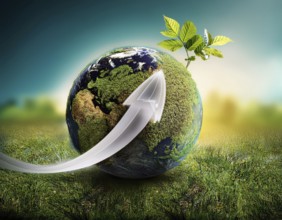 Ecology and Environment concept. Environment Earth Day In the hands of trees growing seedlings,