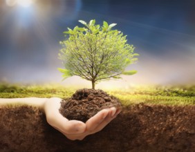 Life Concept. Existence survival being consciousness. Growth of new life, AI generated