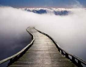Curved wooden boardwalk disappearing into a thick white mist under a calm sky. This scenic view