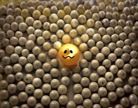 Wooden balls feature faces, one smiling among sad expressions, representing positivity or