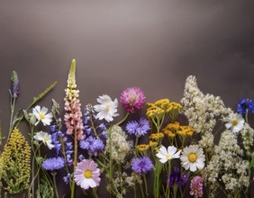 A variety of colorful wildflowers flourish on a hillside against a blurred mountainous backdrop.