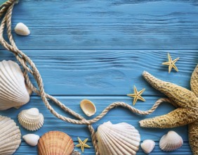 Frame of rope, seashells and starfishes is lying on a wooden textured blue background, AI generated