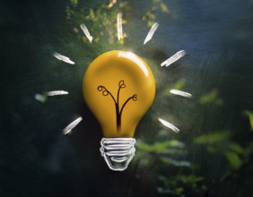 Light bulb with industry network, mind, analysis solution . Creative concept with a light bulb, AI