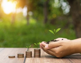 Coins with seedling eco saving concept image symbolizing financial growth, sustainable development,