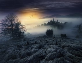 Mysterious dark misty forest dark magical forest night scary panorama halloween landscape, AI